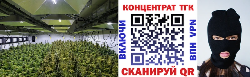 наркотики  Ростов-на-Дону  ТГК гашишное масло 
